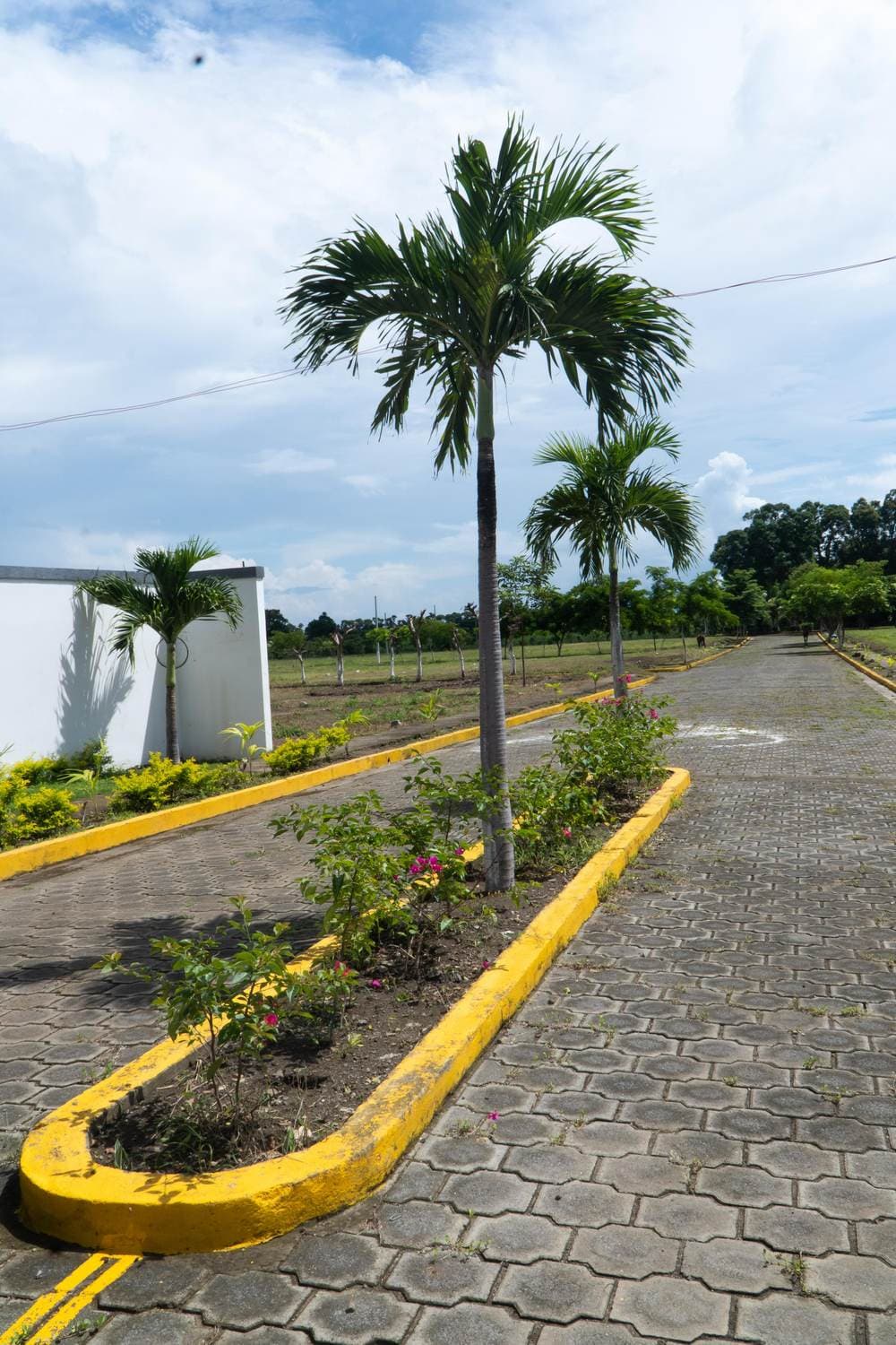 Calle adoquinada con palmeras en Villa Reina I